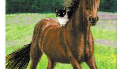 1 Das Pferd im Magic Cat Lenormand. Eine schwarz-weiße Katze sitzt auf einem Rücken eines Pferdes, das gerade durch ein wildes Feld galoppiert.