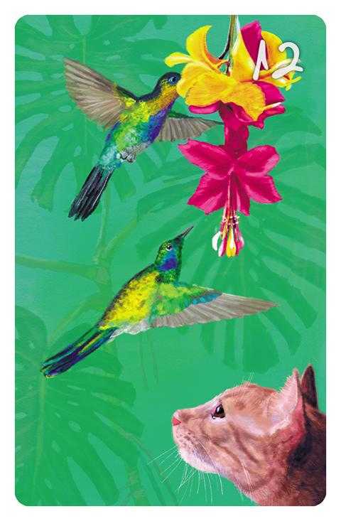 12 Die Vögel im Magic Cat Lenormand. Es sind zwei Kolibris zu sehen, die von einer Dschungelblume Nektar saugen. Dabei werden sie von einer roten Katze beobachtet.