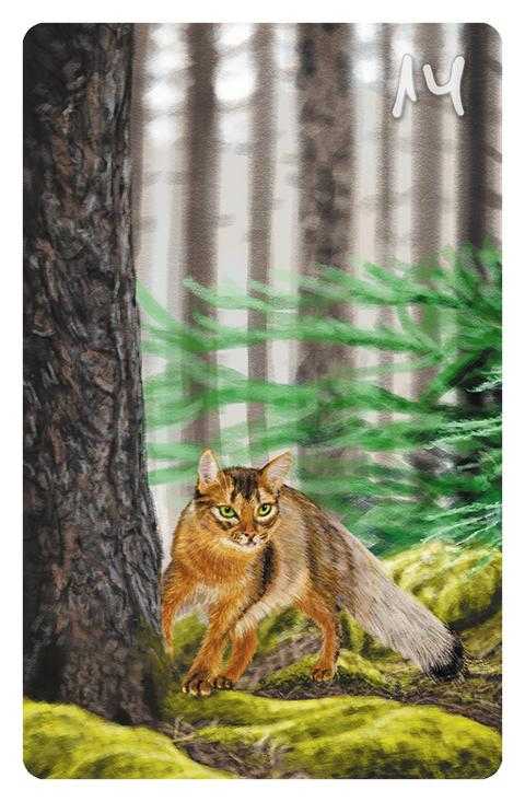 14 Der Fuchs im Magic Cat Lenormand. Es ist eine Katze mit einem Fuchsschwanz zu sehen (die Somali-Katze hat tatsächlich solch ein Aussehen), die durch einen Wald schleicht.