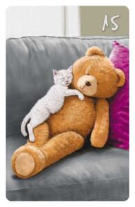 15 Der Bär im Magic Cat Lenormand. Es ist ein weißes Kätzchen zu sehen, das auf einem großen Stoffbären liegt.