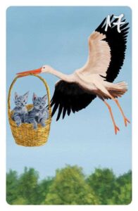 17 Der Storch im Magic Cat Lenormand. Es ist ein Storch zu sehen, der in einem Körbchen zwei graue Babykatzen trägt.