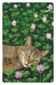 2 Das Klee im Magic Cat Lenormand. Es ist eine getigerte Katze zu sehen, die in einem Kleefeld liegt und ehrfürchtig eine Kleeblüte betrachtet.