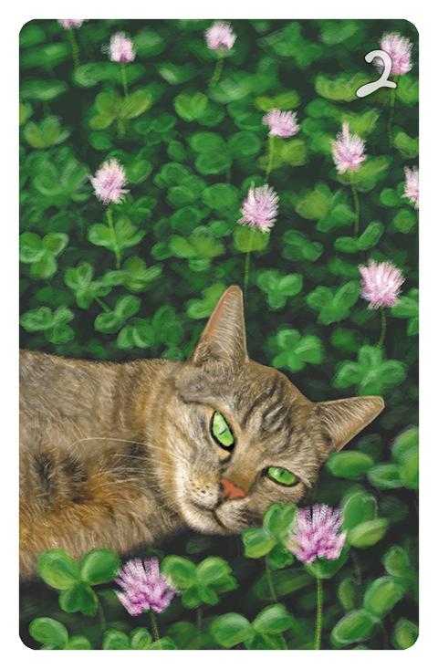 2 Das Klee im Magic Cat Lenormand. Es ist eine getigerte Katze zu sehen, die in einem Kleefeld liegt und ehrfürchtig eine Kleeblüte betrachtet.
