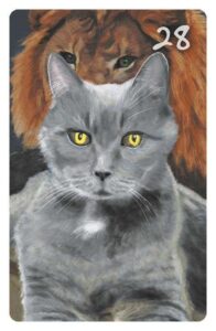 28 Der Herr im Magic Cat Lenormand. Es ist eine graue Katze mit gelben Augen zu sehen (Kartäuser-Rasse). Im Hintergrund befindet sich ein Löwe.