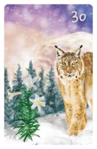 30 Die Lilien im Magic Cat Lenormand. Es ist ein Schneeleopard zu sehen, der auf eine weiße Lilie im Gebirge zuläuft.