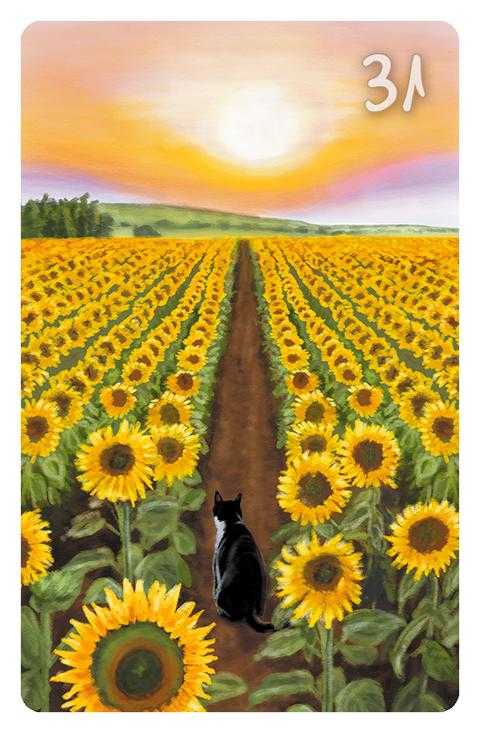 31 Die Sonne im Magic Cat Lenormand. Es ist eine Katze zu sehen, die in einem Sonnenblumenfeld den Sonnenaufgang beobachtet.