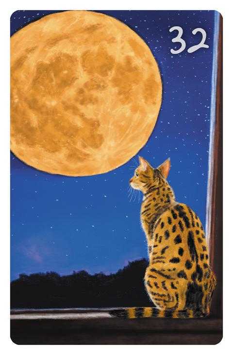33 Der Mond im Magic Cat Lenormand. Es ist eine Bengalenkatze zu sehen, die den Vollmond beobachtet.