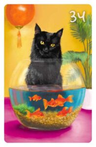 34 Die Fische im Magic Cat Lenormand. Es ist eine Katze zu sehen, die Goldfische in einem Glas beobachtet.