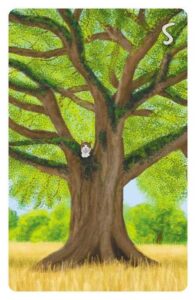 5 Der Baum im Magic Cat Lenormand. Eine Katze sitzt auf einem großen Baum, der sich mitten in einem Weizenfeld befindet.