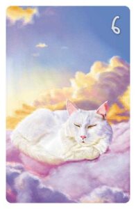 6 Die Wolken im Magic Cat Lenormand. Eine weiße Langhaarkatze schläft auf einer Regenwolke, während über ihr die Sonnenstrahlen einbrechen.