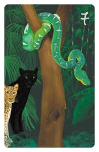 7 Die Schlange im Magic Cat Lenormand. Es ist eine grüne Anakonda zu sehen, die von einem schwarzen Panther und einem Leoparden beobachtet wird.