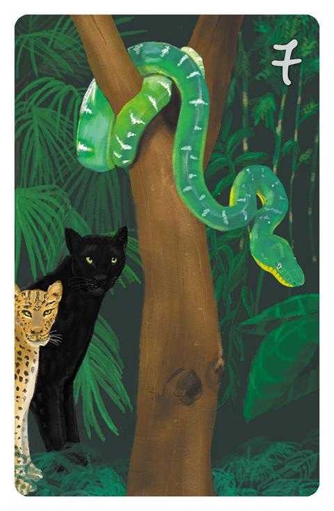 7 Die Schlange im Magic Cat Lenormand. Es ist eine grüne Anakonda zu sehen, die von einem schwarzen Panther und einem Leoparden beobachtet wird.